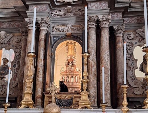 Il Cammino Di San Francesco